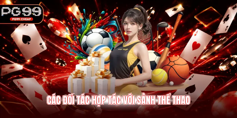 Các đối tác hợp tác với sảnh thể thao