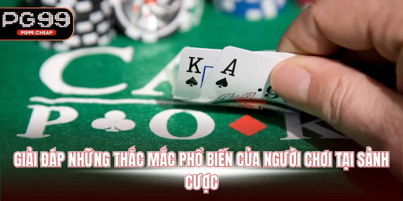 Giải đáp những thắc mắc phổ biến của người chơi tại sảnh cược